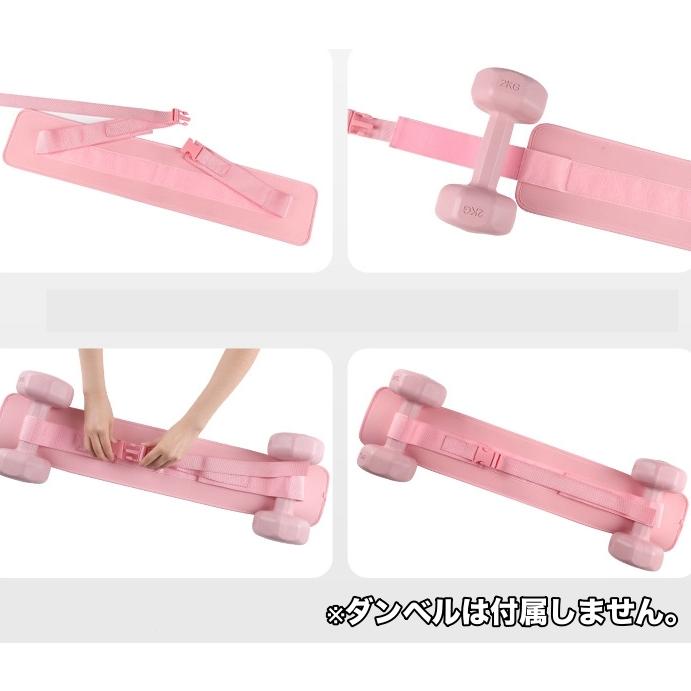 plusnao（プラスナオ） ダンベルベルト 加重バンド フィットネスベルト