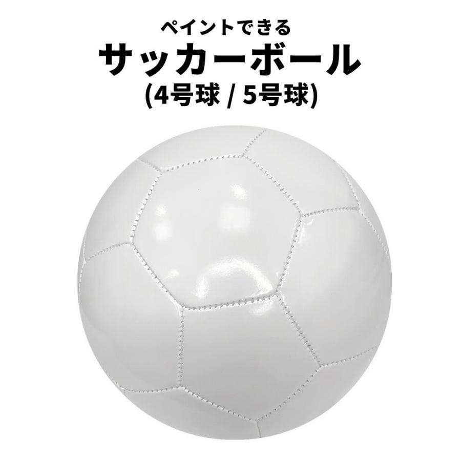 plusnao（プラスナオ） サインボール サイン用ボール 記念ボール