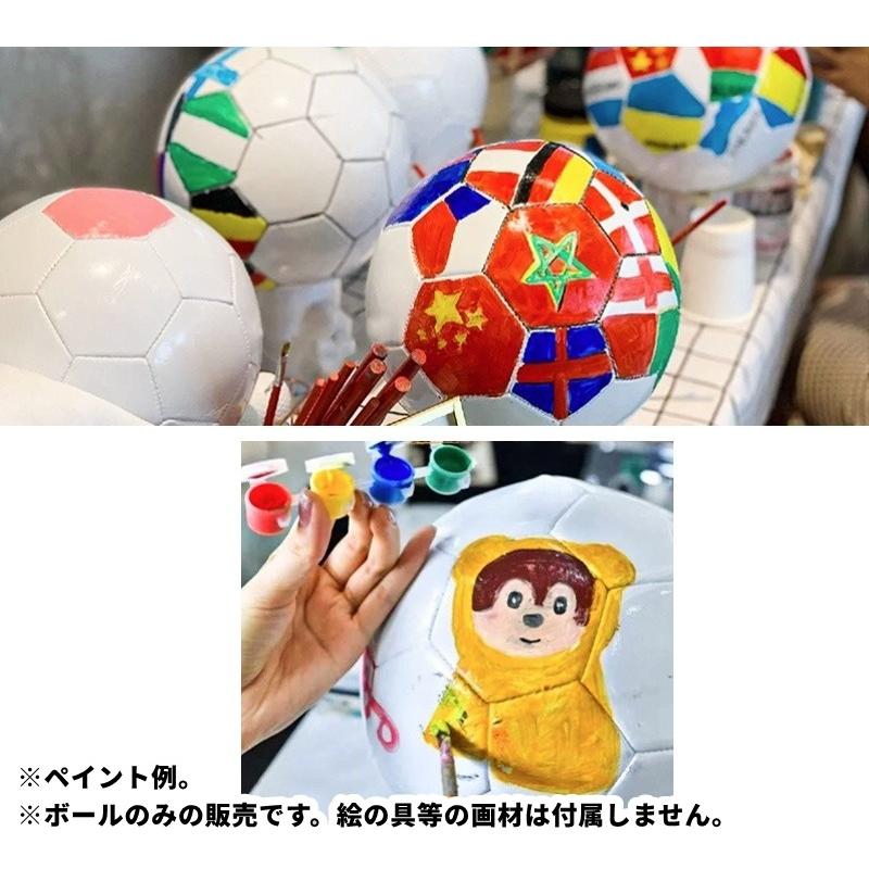 plusnao（プラスナオ） サインボール サイン用ボール 記念ボール