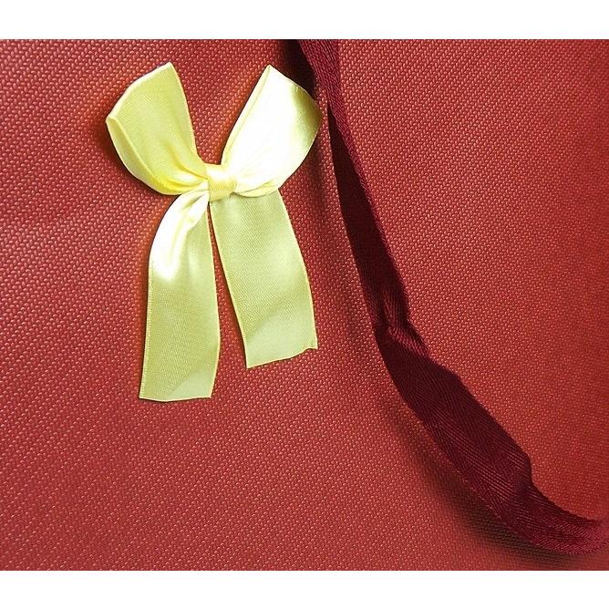 紙袋 ラッピングバッグ ペーパーバッグ 手提げ袋 ギフト用袋 プレゼント用袋 誕生日 記念日 贈り物 お祝い シンプル 高級感 リボ | plusnao | 07