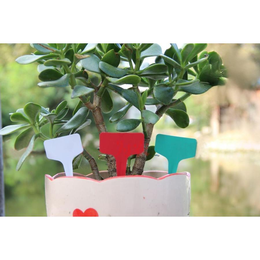 園芸用ラベル 10枚セット T型 フラワーカード ガーデニング 花壇