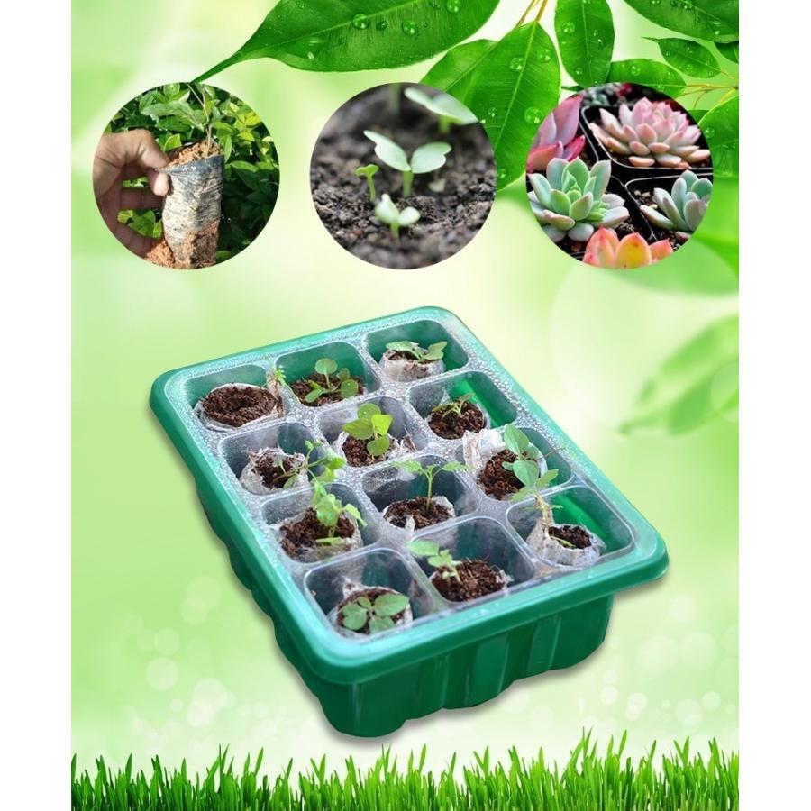 育苗ポット 苗ポット 6穴 12穴 ふた付き 通気口 育苗 苗 ポット 育苗