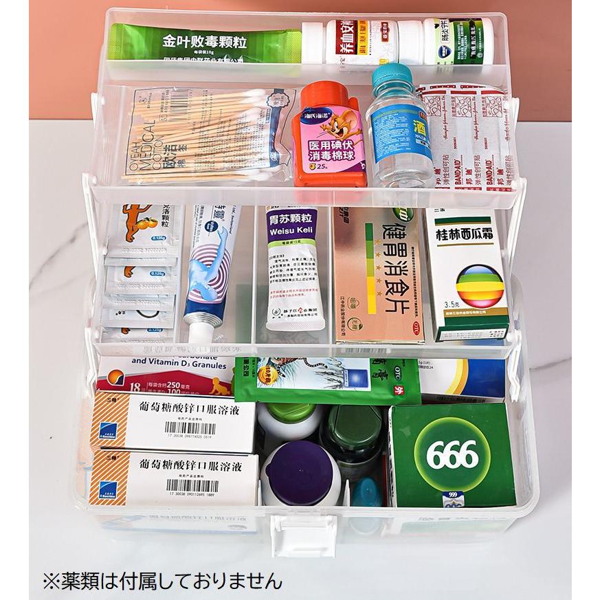 plusnao（プラスナオ） 救急箱 薬箱 くすり クスリ 収納ボックス 収納