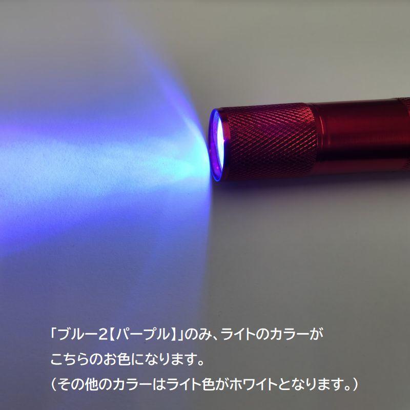 plusnao 懐中電灯 ハンディライト ストラップ付き LEDライト