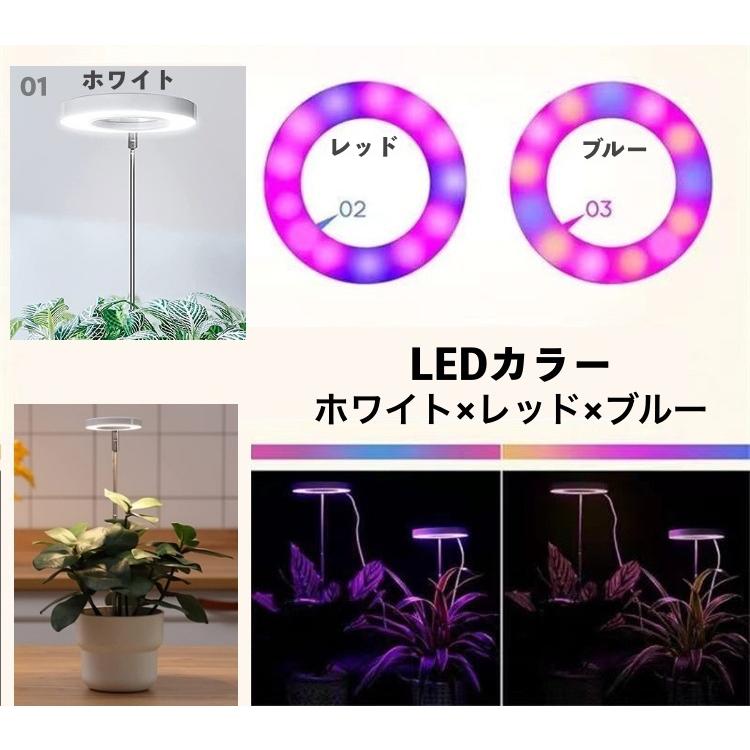 植物育成LEDライトスタンド3灯［ナラ］ 植物育成LEDライトスタンド［ナラ3灯］ 一輪挿し・花瓶・花器