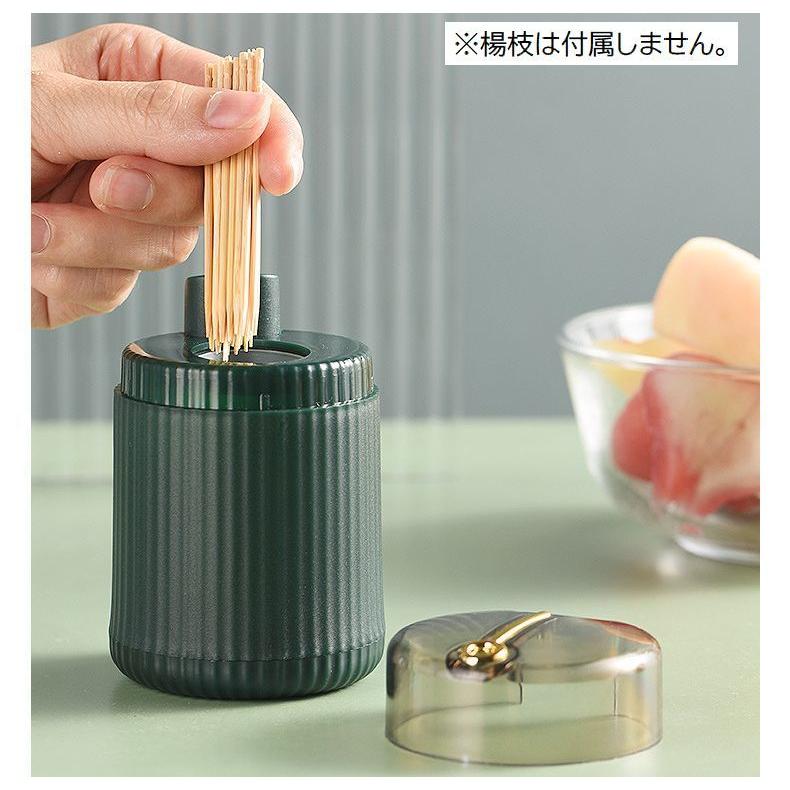 plusnao 爪楊枝入れ 爪楊枝ホルダー ワンプッシュ式 蓋付き 簡単 plusnao 爪楊枝入れ 爪楊枝ホルダー ワンプッシュ式 蓋付き 簡単