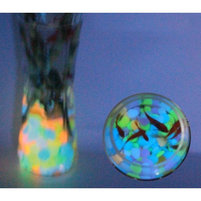 plusnao（プラスナオ） 夜光石 発光石 200個 アクアリウム用品 光る