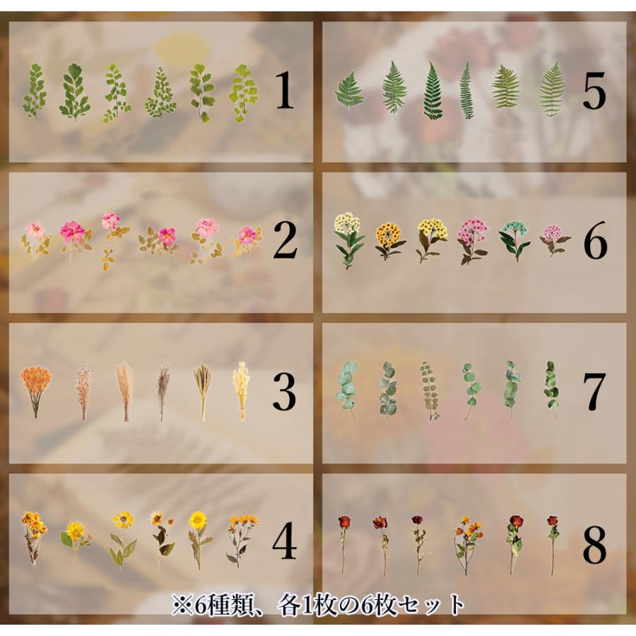 5.飾りフレークシール フレークシール ステッカー 6枚セット DIY 押し花風 植物 フラワー