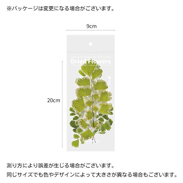 フレークシール ステッカー 6枚セット DIY 押し花風 植物 フラワー