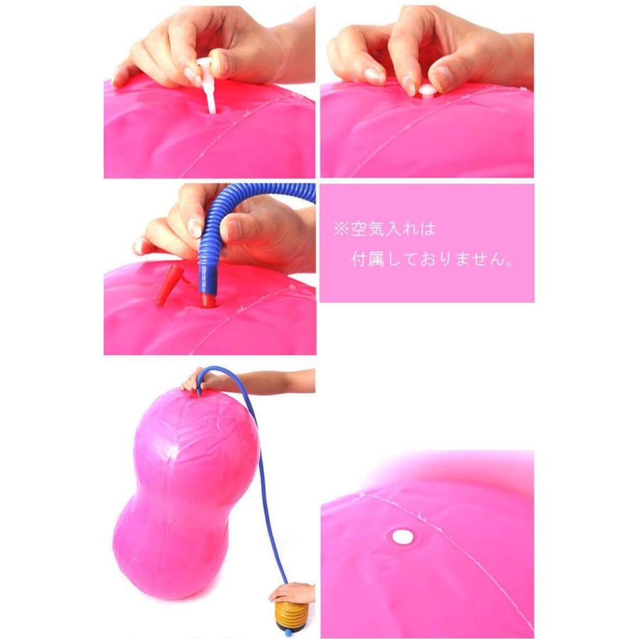 plusnao（プラスナオ） バランスボール ピーナッツ型 ピーナツ型