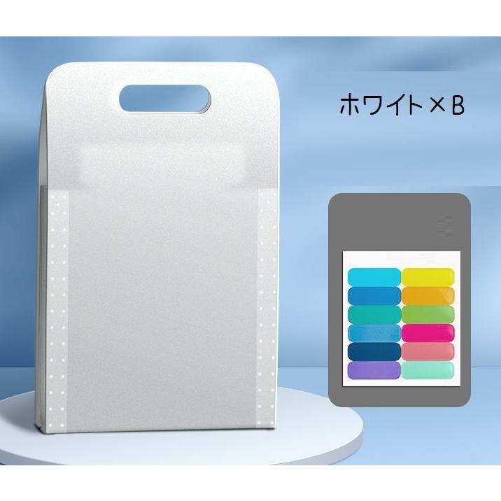 plusnao（プラスナオ） ドキュメントファイル ファイル 13ポケット A4