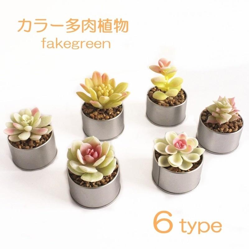フェイクグリーン ミニプランツ 多肉植物 造花 インテリア サボテン アロエ ポット入り 鉢付き 室内装飾 室内ガーデニング トイレ 玄関 リビング プラスナオ Paypayモール店 通販 Paypayモール