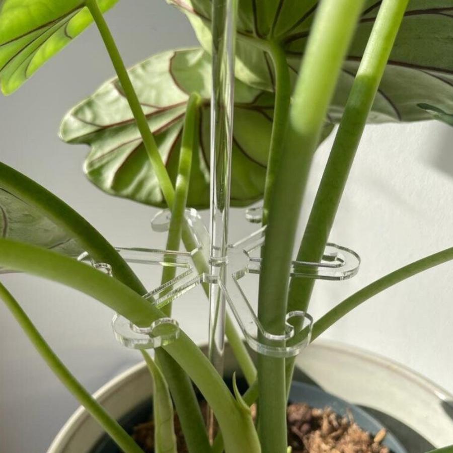 園芸支柱 花支柱 植木鉢用 観葉植物 サポート 花支え 花ささえ 固定