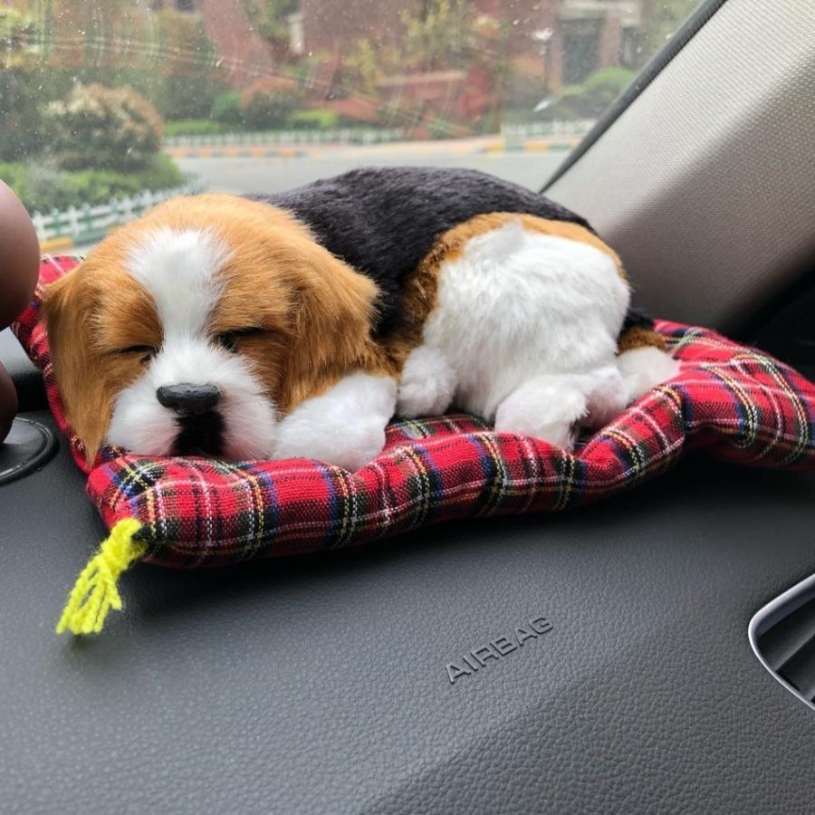 車用消臭剤 脱臭 ぬいぐるみ 人形 アニマル 犬 猫 竹炭 活性炭 置き物 カー用品 車内用 室内用 匂い軽減 匂い対策 かわいい 可愛い オーナメン プラスナオ Paypayモール店 通販 Paypayモール