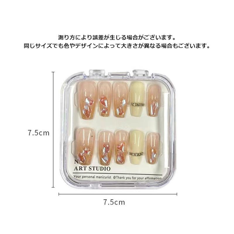 ネイルチップケース 2個セット クリアケース ネイル用品 クリア 透明