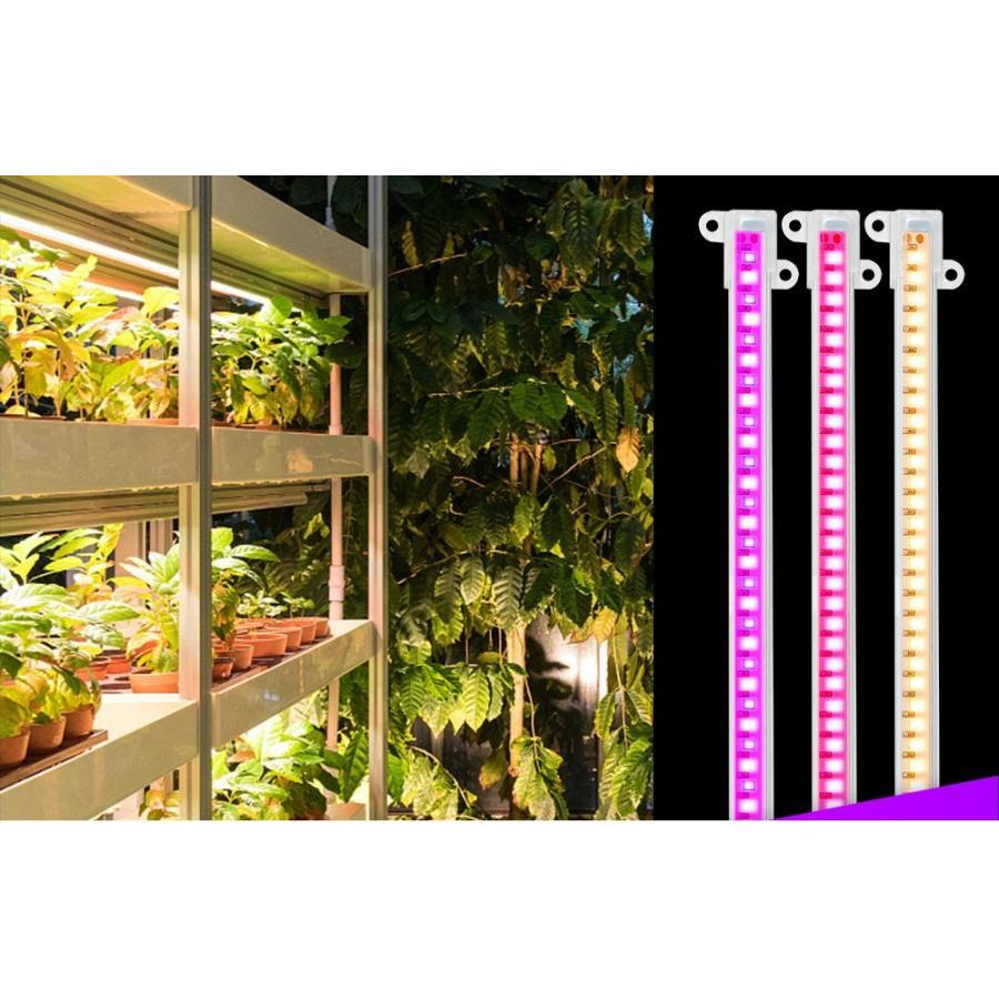 植物育成ライト プラントライト 植物ライト LEDライト 2ヘッド USB接続