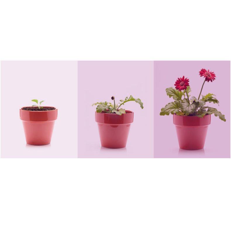 植物育成ライト プラントライト 植物ライト LEDライト 2ヘッド USB接続