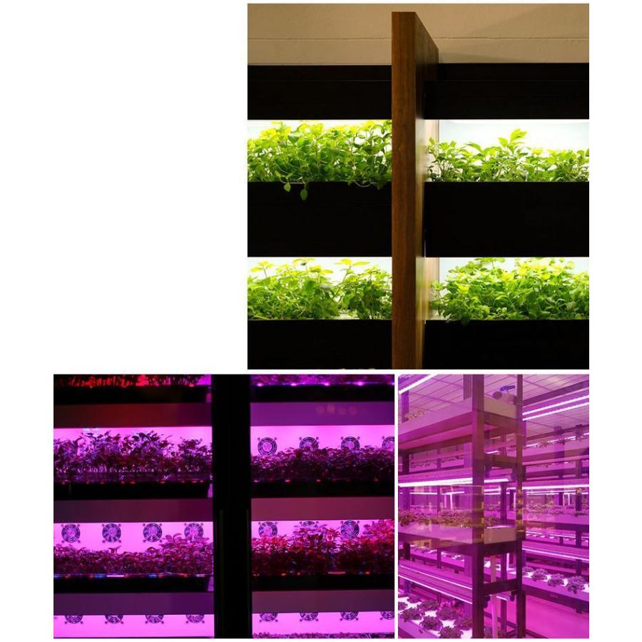 植物育成ライト プラントライト 植物ライト LEDライト 4ヘッド USB接続