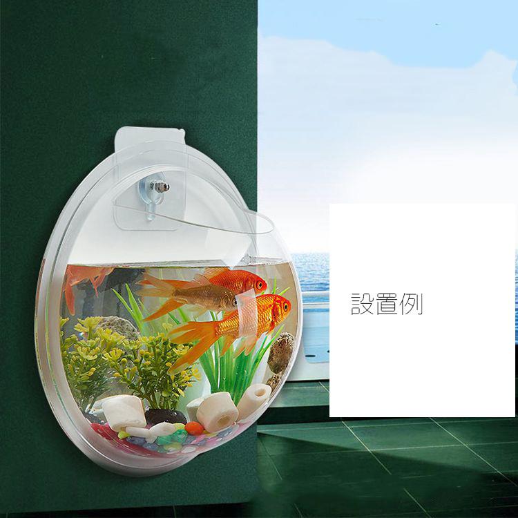 壁掛け水槽 インテリア ペット用品 半球型 クリア ホワイト シンプル 