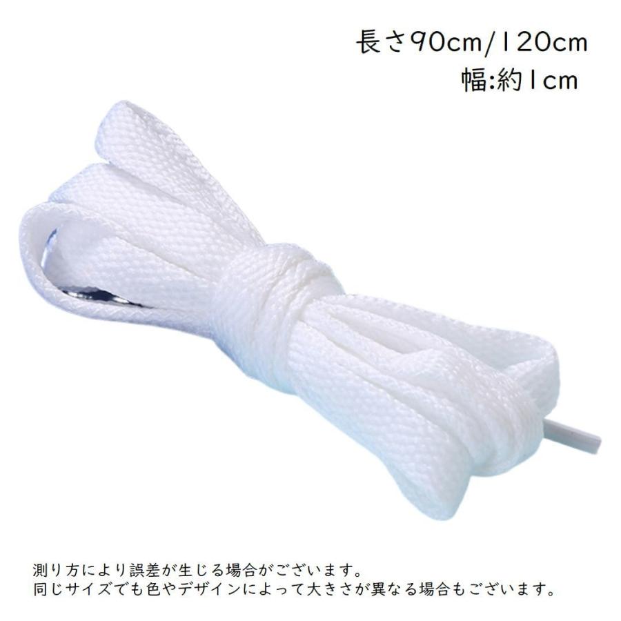 靴紐 靴ひも 2本セット 1足分 90cm 120cm 平形 シューレース シューズ