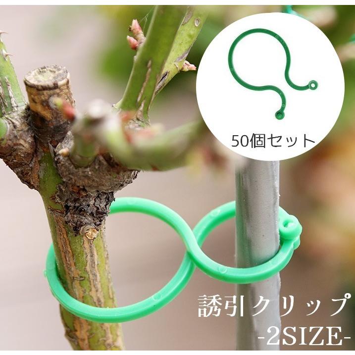 誘引クリップ 茎に優しい Ｒ型（サイズ：20㎜）2,000個 誘引クリップ 茎に優しい R型（サイズ：20㎜）1箱/2,000個入 農業