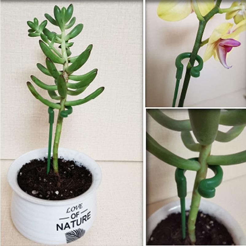 園芸 花や木、植木鉢など 園芸店 植木鉢 & 屋外向けの観葉植物 東海地区最大級のガーデン