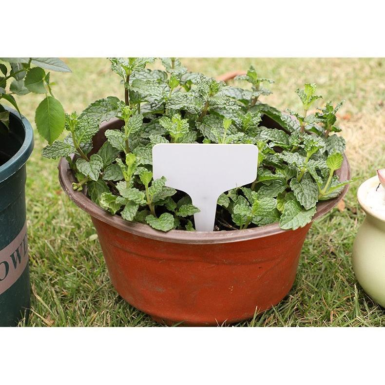 園芸用ラベル 同色10個セット ガーデニング用品 園芸用品 植物用タグ