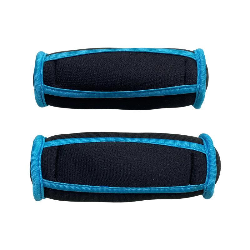 plusnao（プラスナオ） ダンベル 鉄アレイ 2個セット サンドダンベル