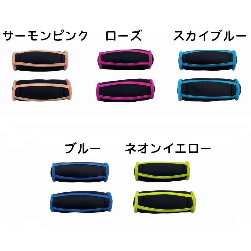 plusnao（プラスナオ） ダンベル 鉄アレイ 2個セット サンドダンベル