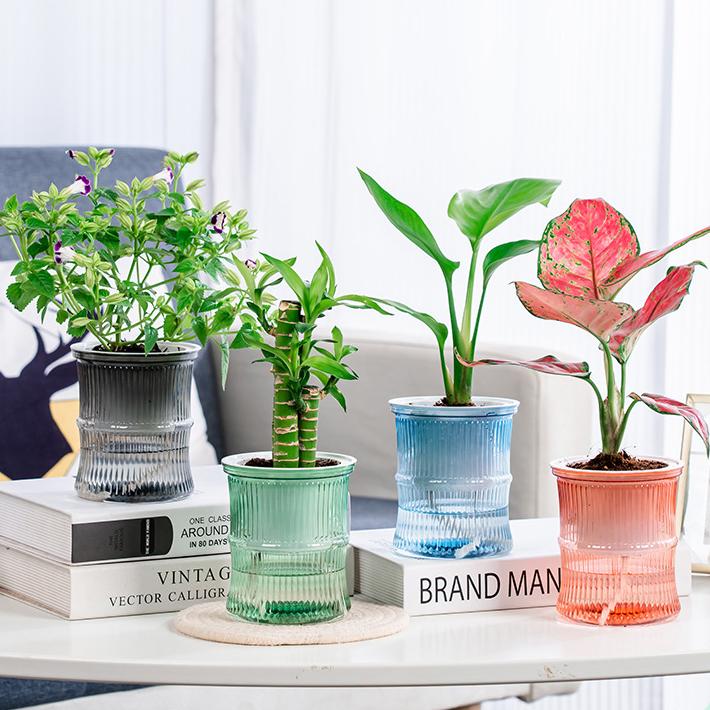 植木鉢 フラワーポット 水耕栽培 自動給水 貯水槽付き 水やり簡単 丸型