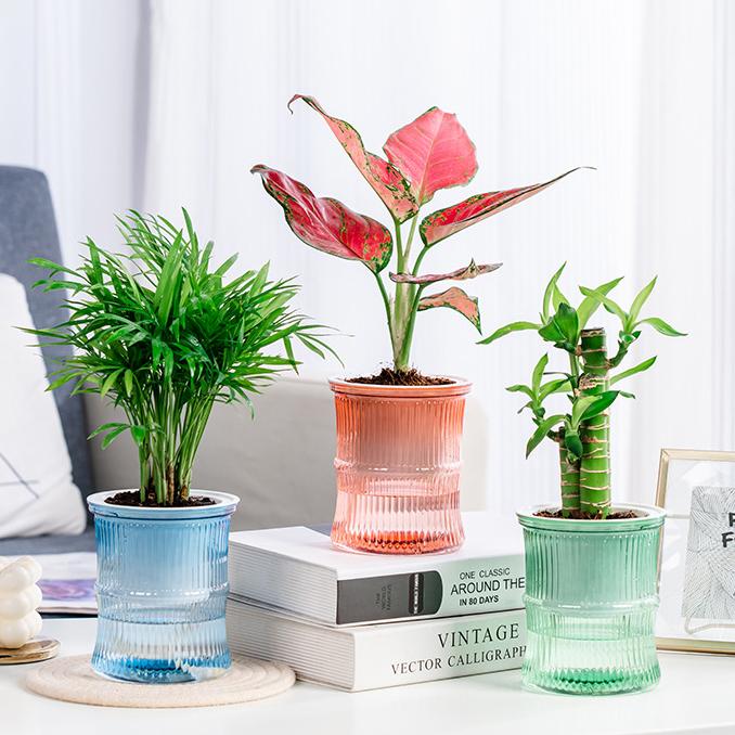 植木鉢 フラワーポット 水耕栽培 自動給水 貯水槽付き 水やり簡単 丸型