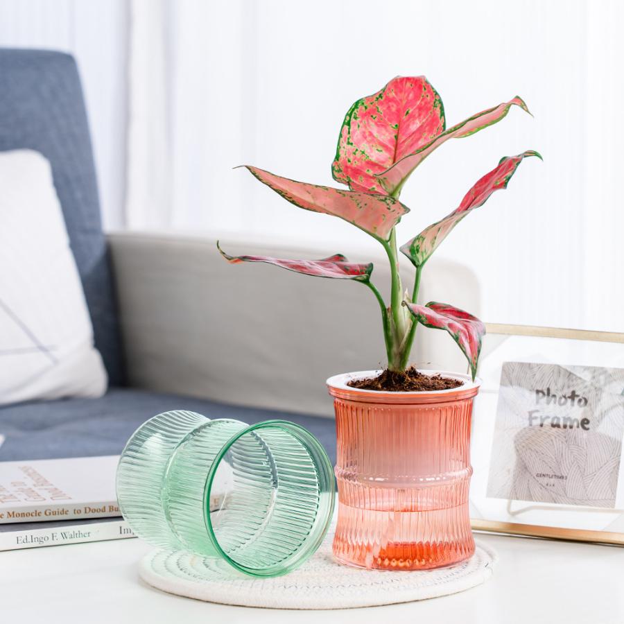 植木鉢 フラワーポット 水耕栽培 自動給水 貯水槽付き 水やり簡単 丸型