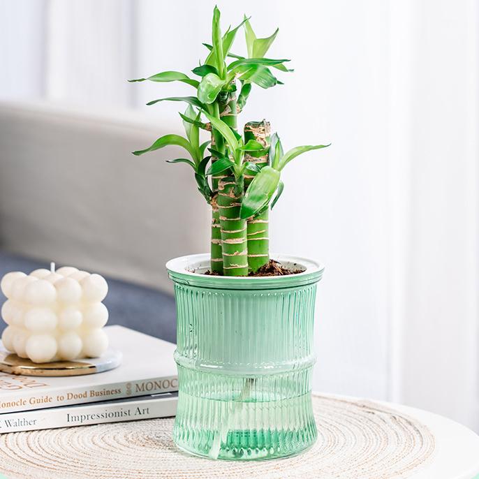 植木鉢 フラワーポット 水耕栽培 自動給水 貯水槽付き 水やり簡単 丸型