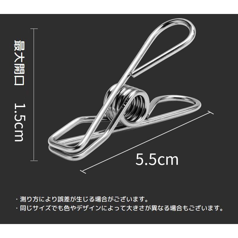 plusnao（プラスナオ） 洗濯バサミ ピンチ ステンレス製 20個セット