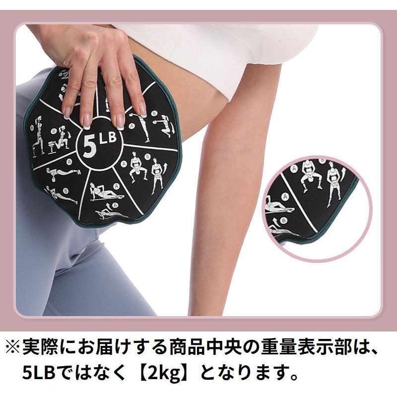 plusnao（プラスナオ） サンドバッグ ウェイト ウエイト 重り 2kg 多