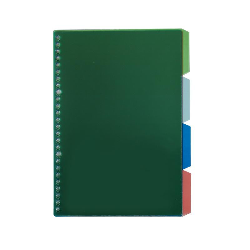 plusnao（プラスナオ） インデックスシート インデックス ルーズリーフ