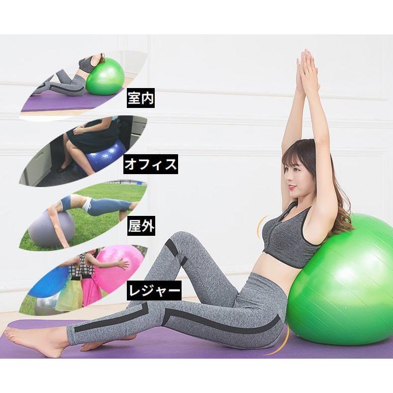 plusnao バランスボール エクササイズボール 椅子 体幹トレー plusnao バランスボール エクササイズボール 椅子 体幹トレー