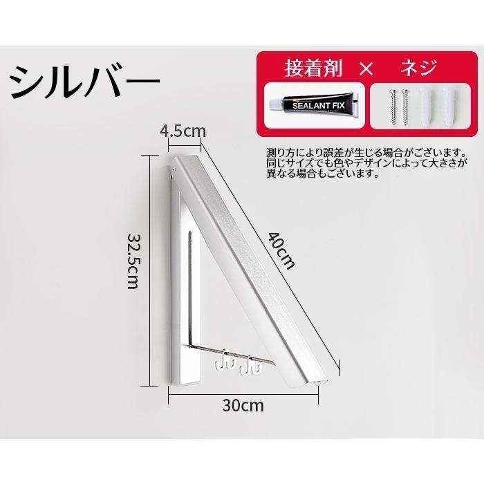 plusnao（プラスナオ） ウォールフック 折りたたみ式 ハンガーフック