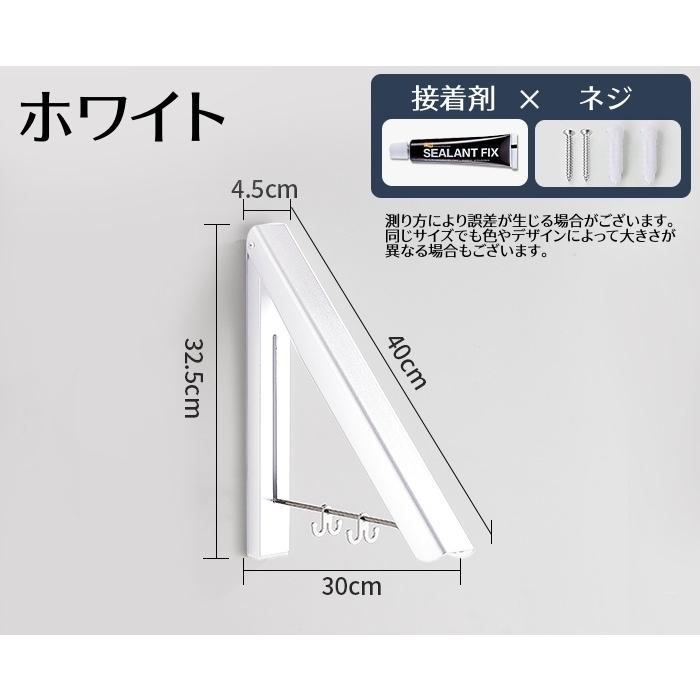 plusnao（プラスナオ） ウォールフック 折りたたみ式 ハンガーフック