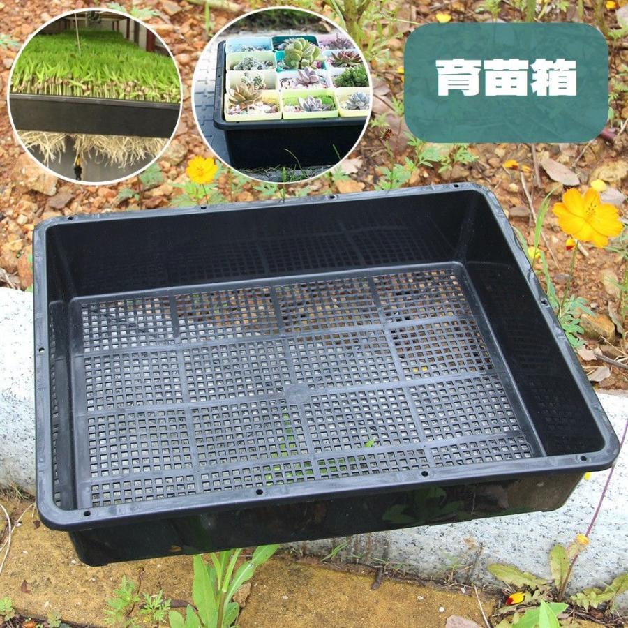 育苗箱 育苗コンテナ 育苗トレー トレイ 種まき さし木 さし芽 育苗