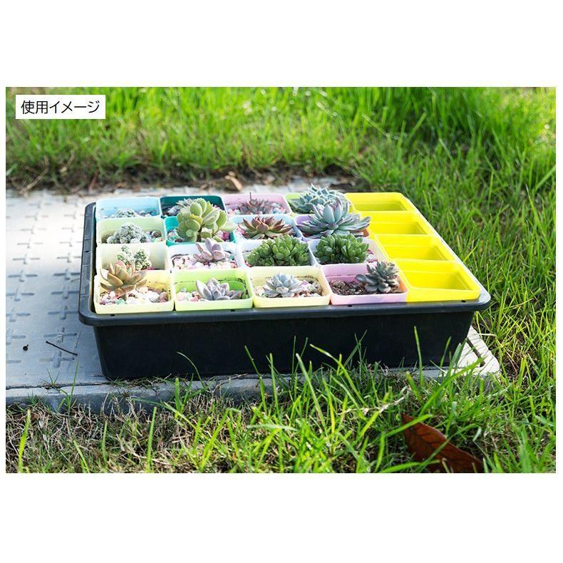 育苗箱 育苗コンテナ 育苗トレー トレイ 種まき さし木 さし芽 育苗