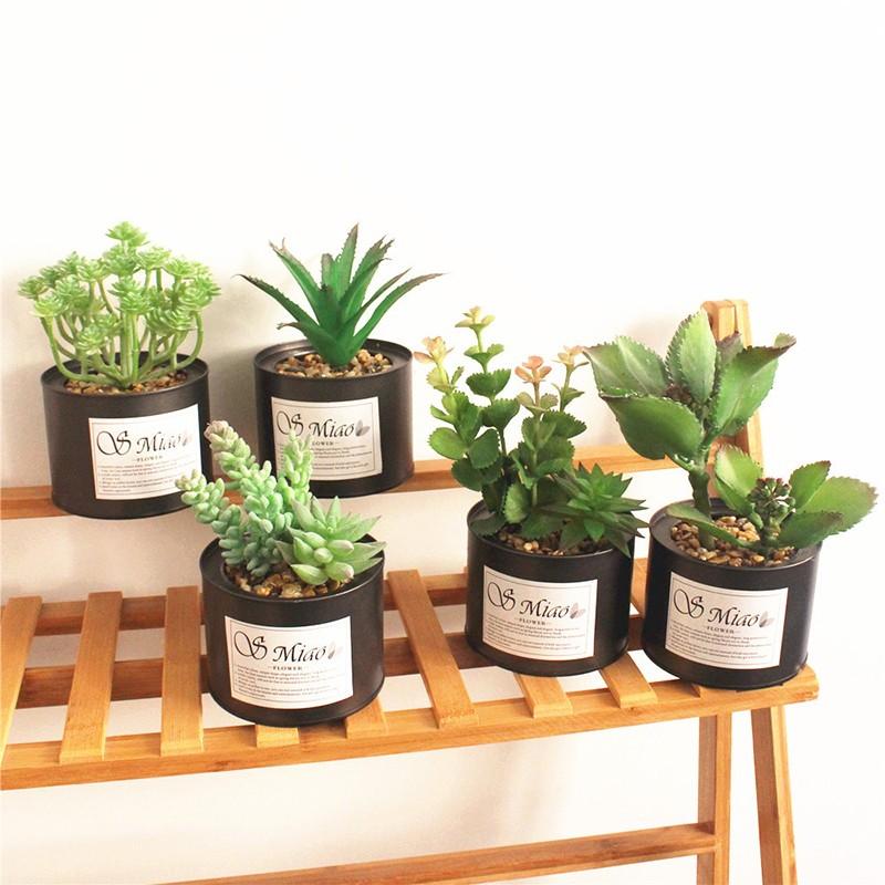 人工観葉植物 フェイクグリーン 造花 ミニ多肉植物 枯れない 装飾 ブリキ缶 卓上 置き物 可愛い おしゃれ 雑貨 プレゼント 贈り物 インテリア プラスナオ Paypayモール店 通販 Paypayモール
