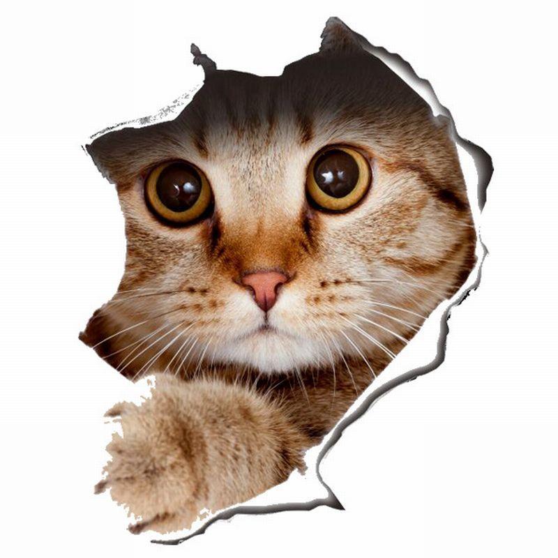 すべての花の画像 ぜいたくスマホ パグ 壁紙