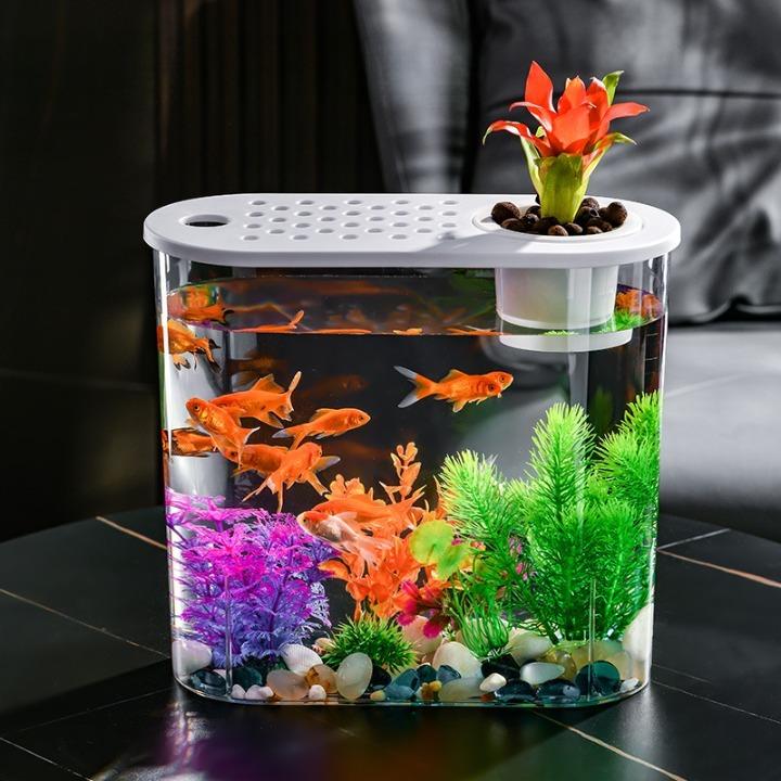 希少　激レア　まめゴマリウム　水槽　金魚鉢　まとめ売り Amazon | Nizzvlo アクリル 丸型金魚鉢 (30cm) 金魚・メダカ用