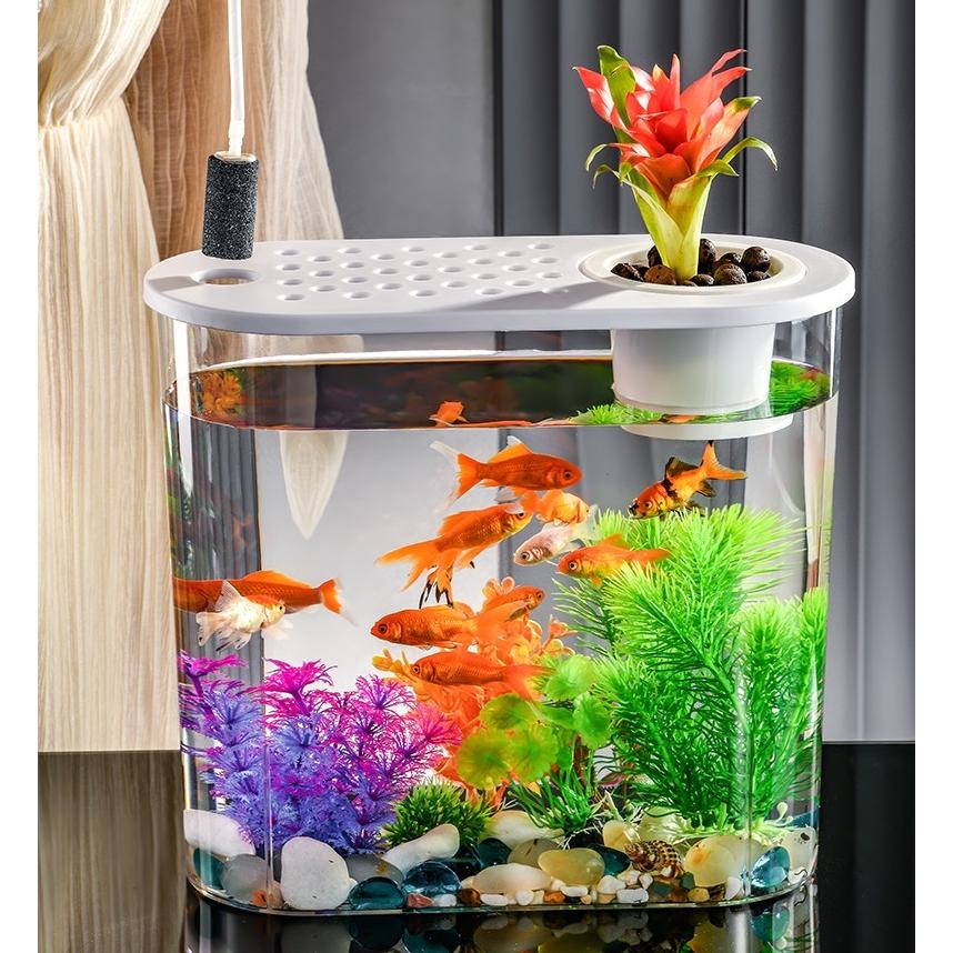 アクアドーム　ペンギン　金魚鉢　新品未使用　液体密閉 アクアドーム ペンギン 金魚鉢 新品未使用 液体密閉 Amazon