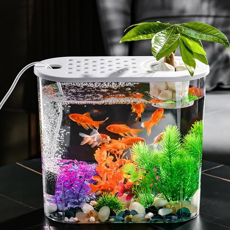 アクアドーム　ペンギン　金魚鉢　新品未使用　液体密閉 水槽 金魚鉢 ペット用品 プラスチック アクアリウム 鑑賞魚