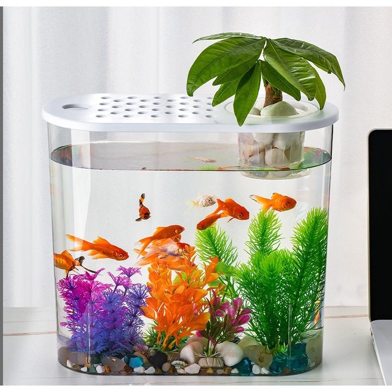 アクアドーム　ペンギン　金魚鉢　新品未使用　液体密閉 アクアドーム ペンギン 金魚鉢 新品未使用 液体密閉 アクア