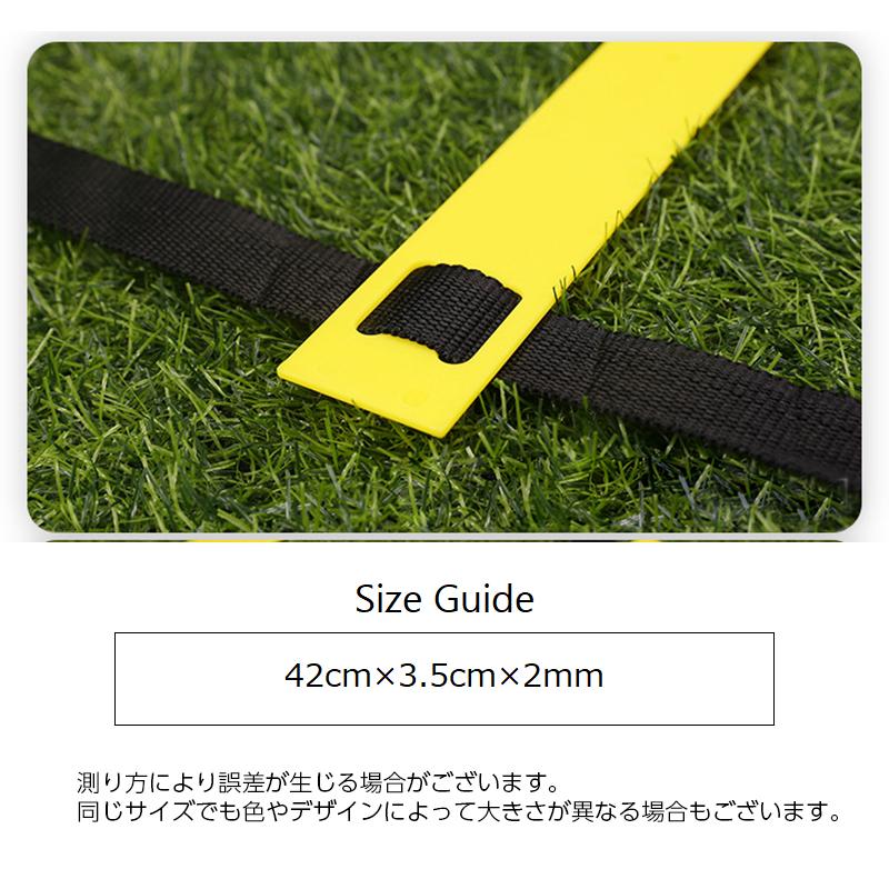 plusnao（プラスナオ） トレーニングラダー スポーツ用品 7m プレート