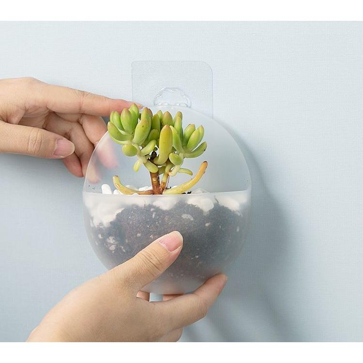 フラワーベース 壁掛け 花瓶 花器 フラワーポット インテリア雑貨 一輪挿し 半球型 クリア 透明 小型 シンプル かわいい おしゃれ コンパクト｜plusnao｜07