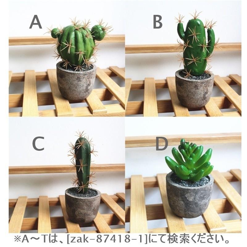 フェイクグリーン 多肉植物 ミニサボテン 造花 インテリア ポット入り 鉢付き セレウス アロエ 室内装飾 リビング 玄関 プラスナオ Paypayモール店 通販 Paypayモール
